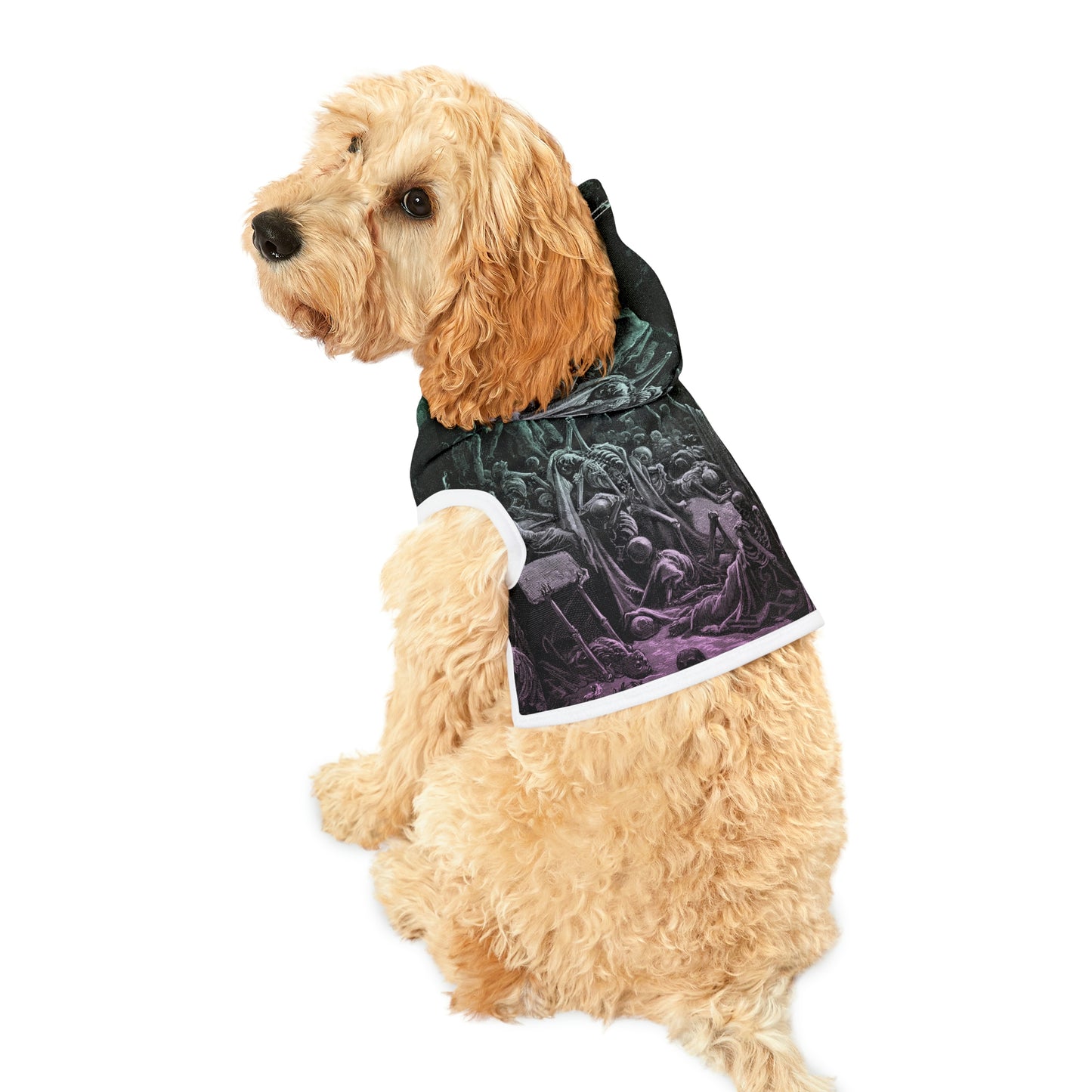 Dry Bones Dog Hoodie