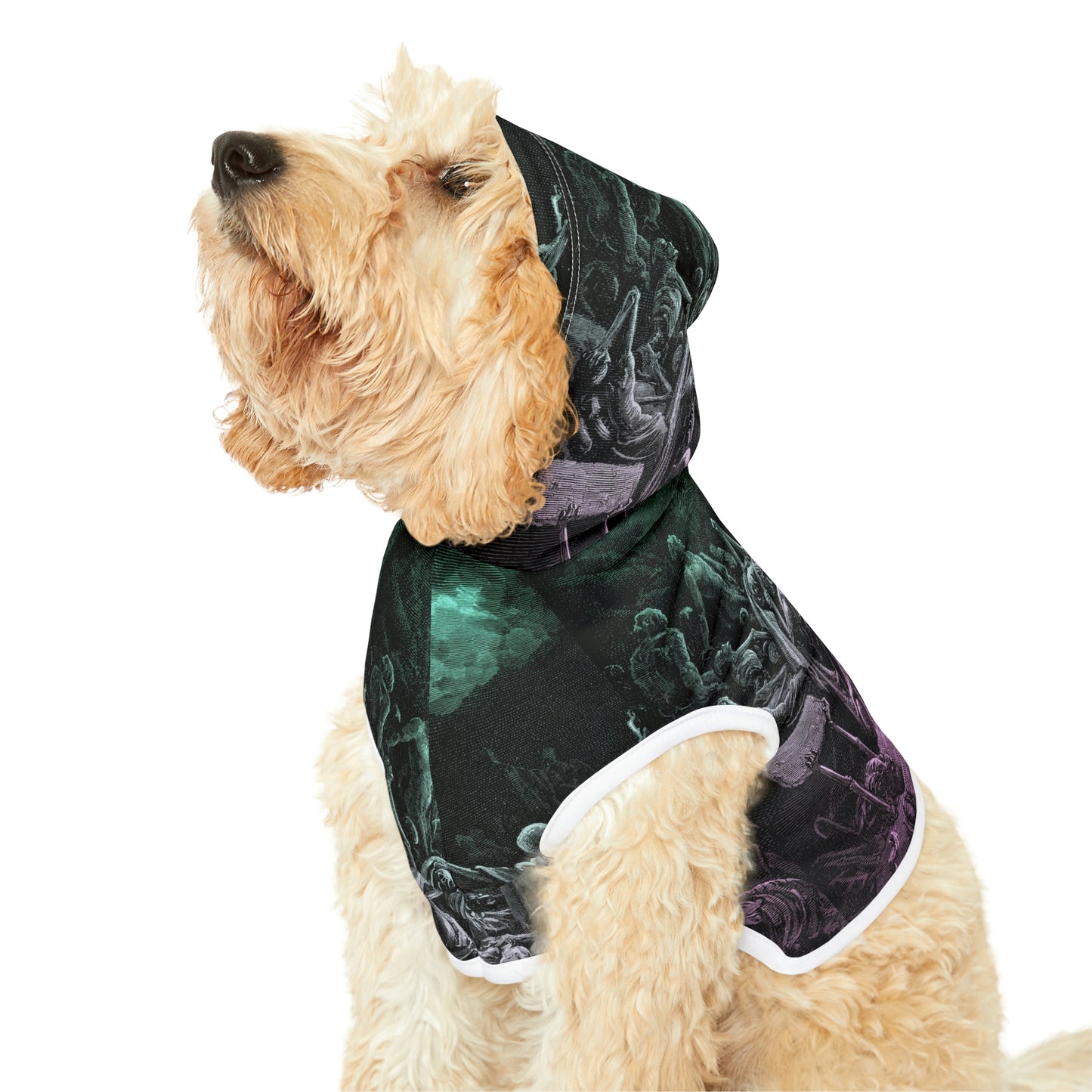 Dry Bones Dog Hoodie