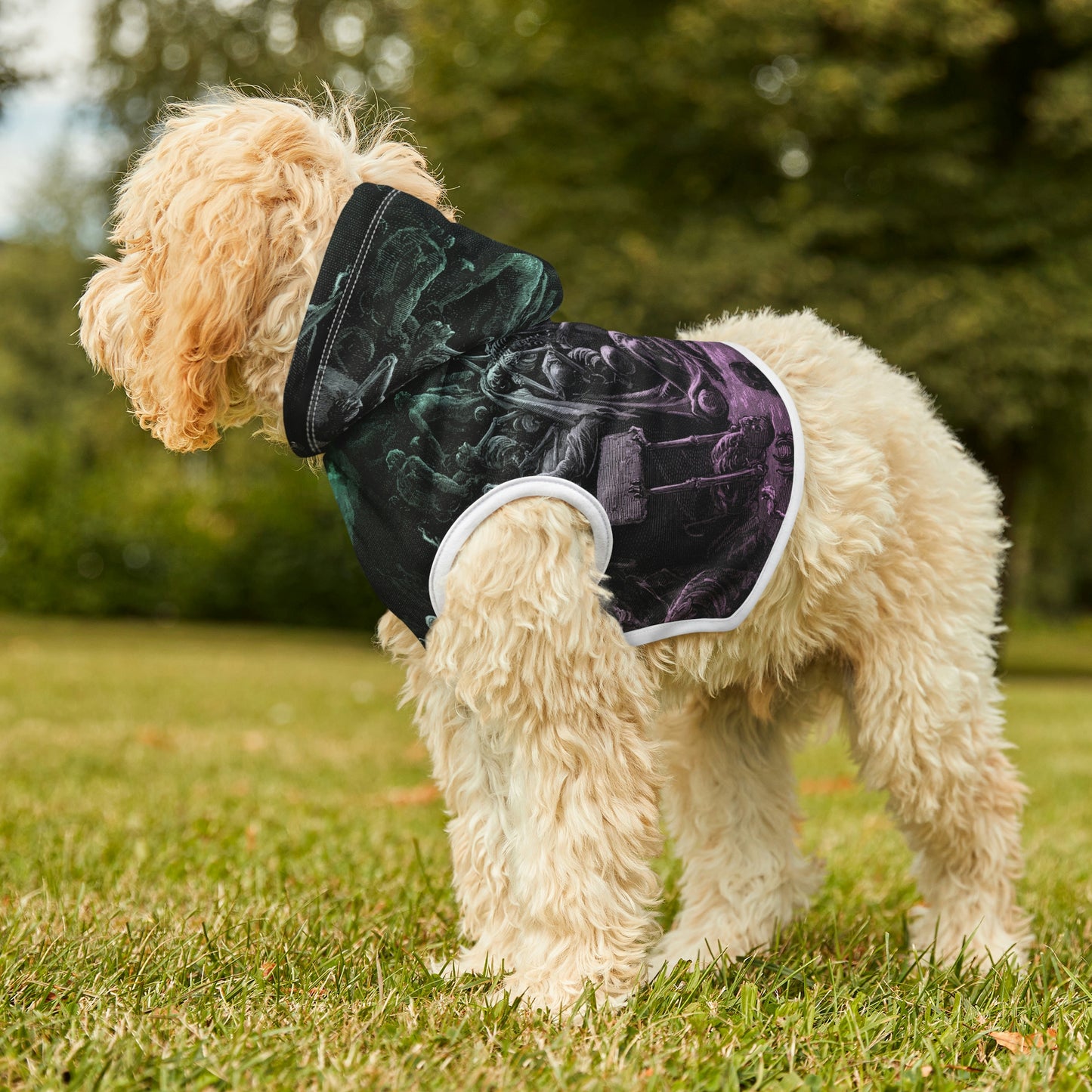 Dry Bones Dog Hoodie